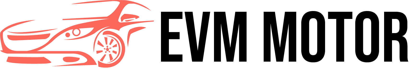 EVM Motor