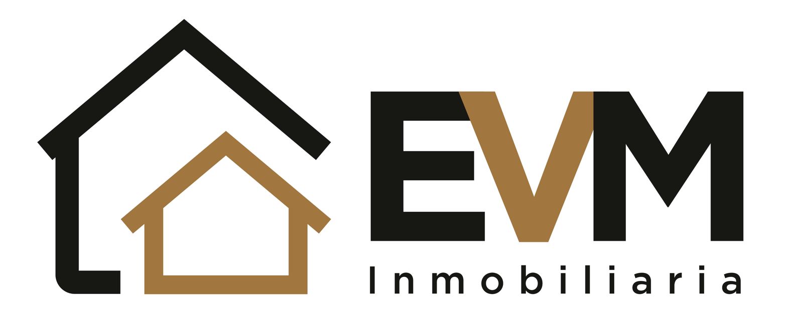 EVM Motor